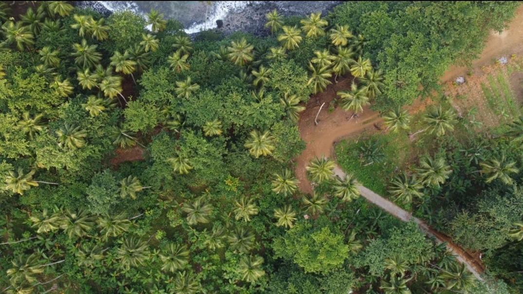Gombela Ecolodge And Farming Sao Tome Exterior photo